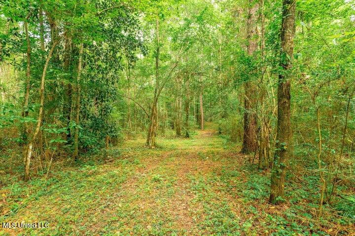 25.5-acres Canty Rayborn Road Sumrall, MS 39482 - Photo 5 of 24 20241217024258651982000000-o