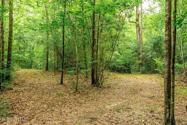 25.5-acres Canty Rayborn Road Sumrall, MS 39482 - Photo 7 of 24 20241217025502671292000000-o