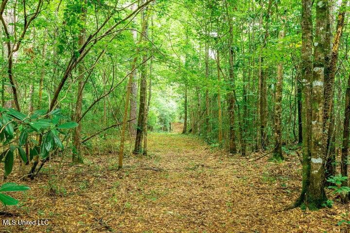 25.5-acres Canty Rayborn Road Sumrall, MS 39482 - Photo 8 of 24 20241217025507083623000000-o