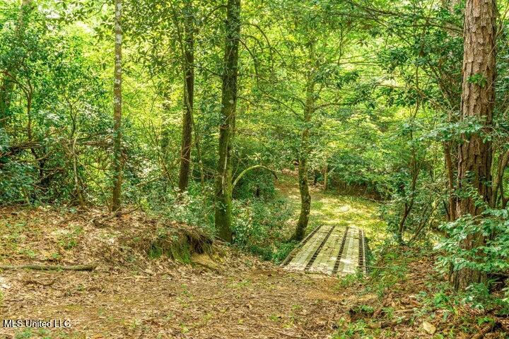25.5-acres Canty Rayborn Road Sumrall, MS 39482 - Photo 10 of 24 20241217025515835802000000-o