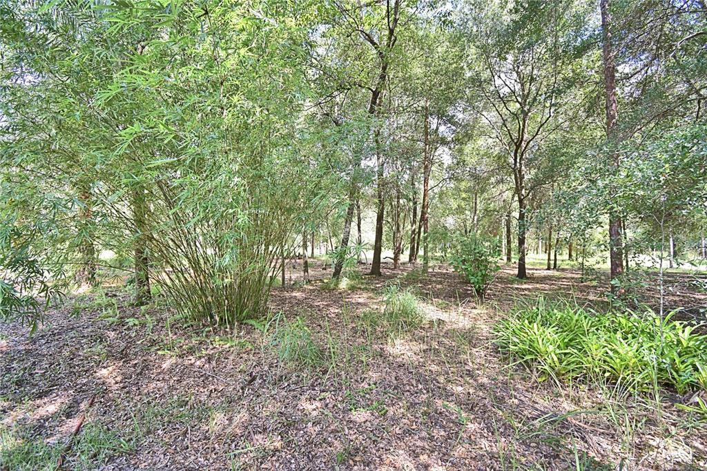 6711 Redwing Road Groveland, FL 34736 - Photo 66 of 70 Gallery Image 66