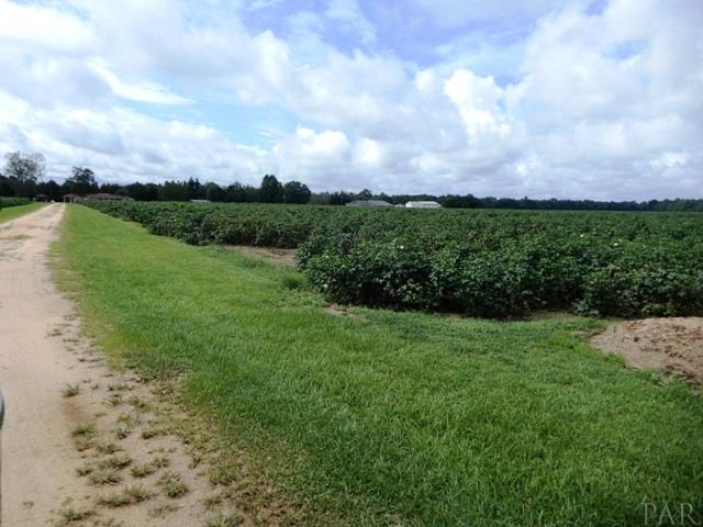 5610 Pine Forest Road McDavid, FL 32568 - Photo 23 of 29 Gallery Image 23