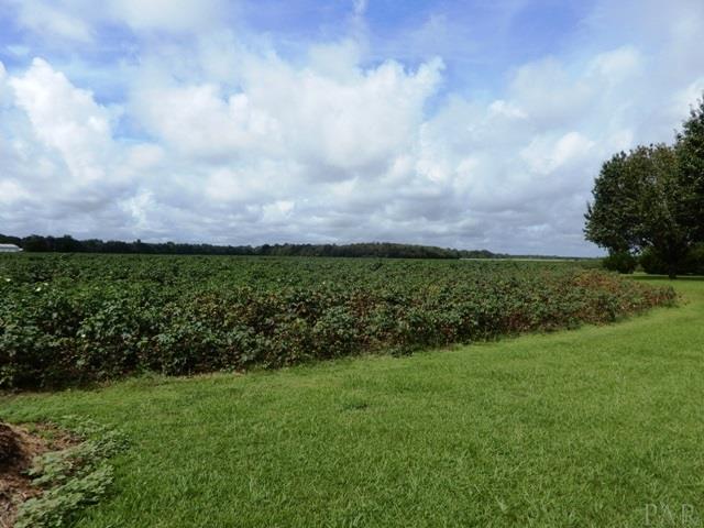 5610 Pine Forest Road McDavid, FL 32568 - Photo 24 of 29 Gallery Image 24