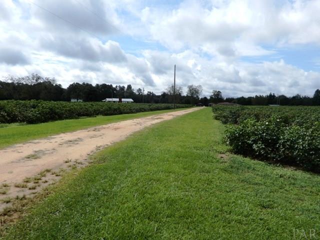 5610 Pine Forest Road McDavid, FL 32568 - Photo 25 of 29 Gallery Image 25
