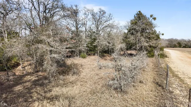 a view of a yard with a tree