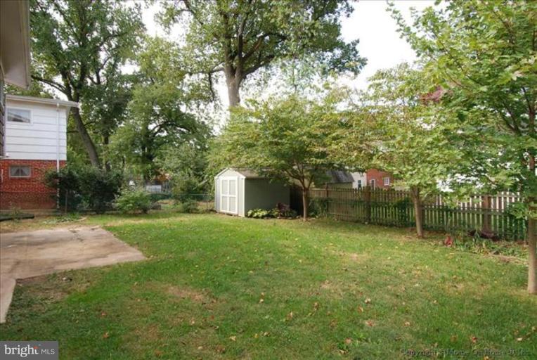 10024 Renfrew Road Silver Spring, MD 20901 - Photo 10 of 25 Back yard #2