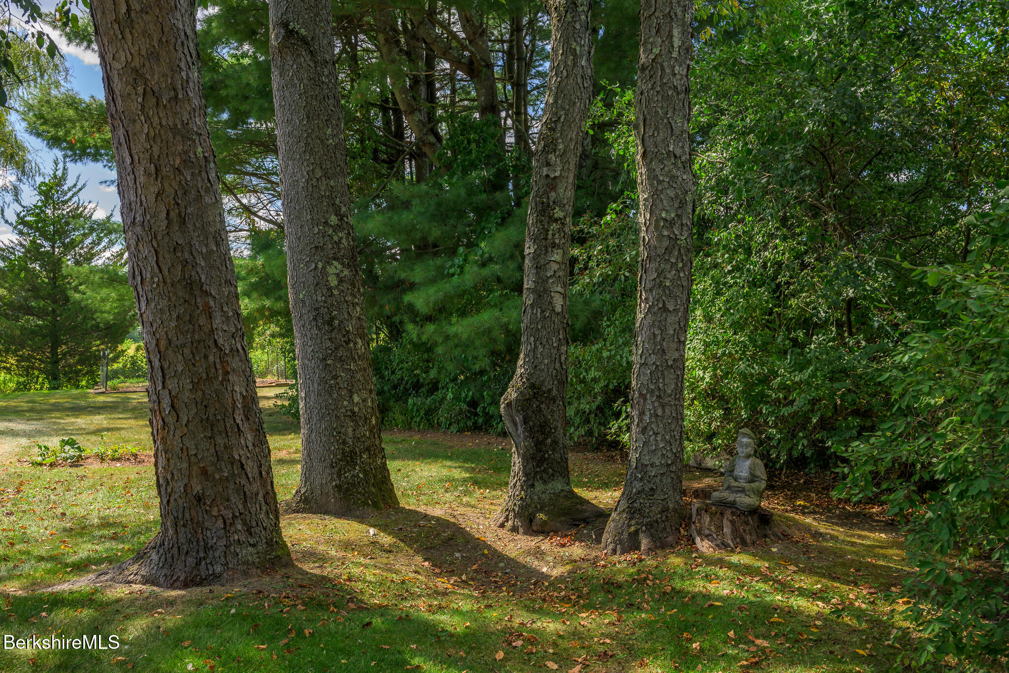 51 Albany Road West Stockbridge, MA 01266 - Photo 51 of 58 a view of a yard with a tree