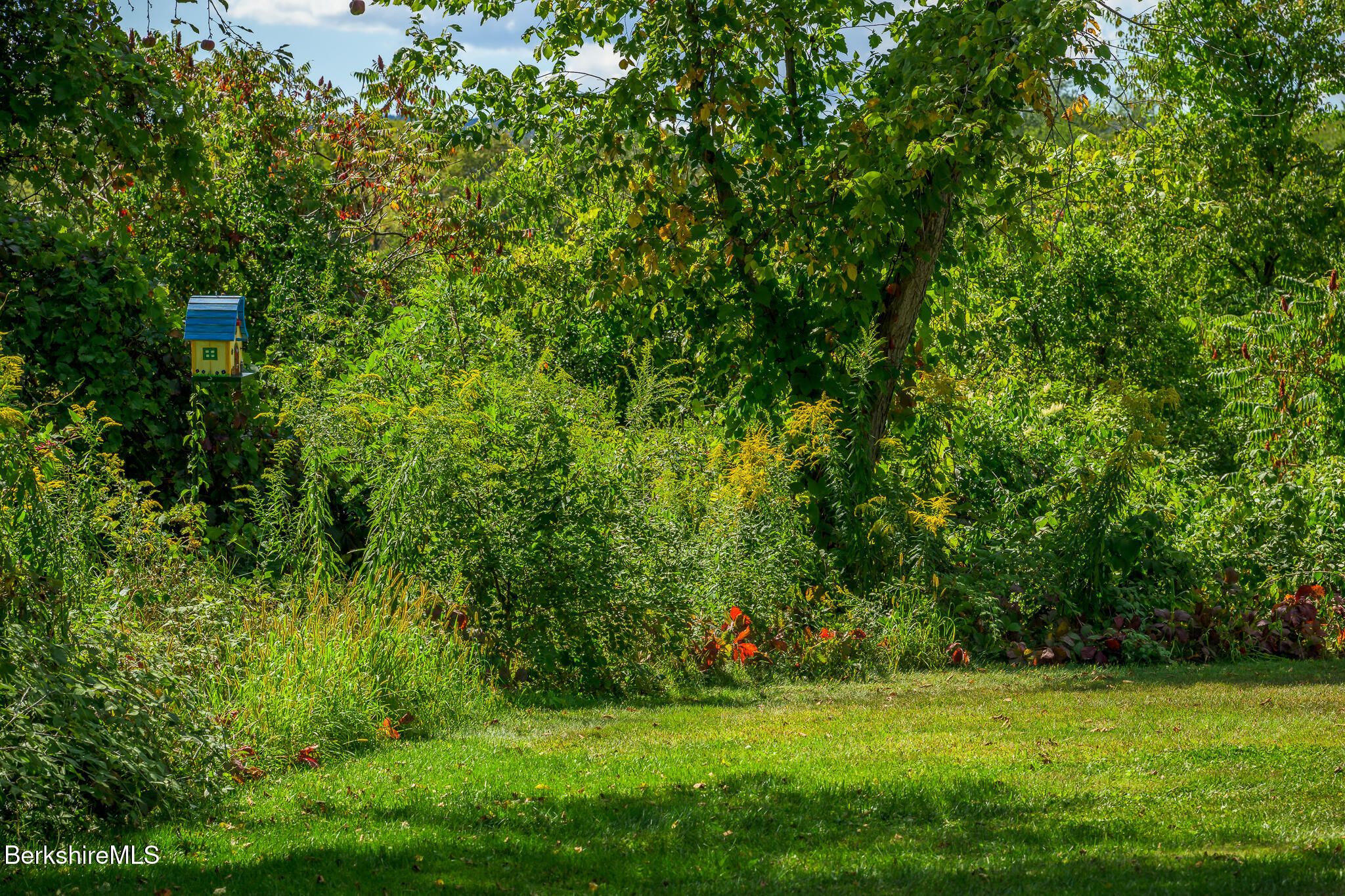 51 Albany Road West Stockbridge, MA 01266 - Photo 52 of 58 a view of a green field with plants