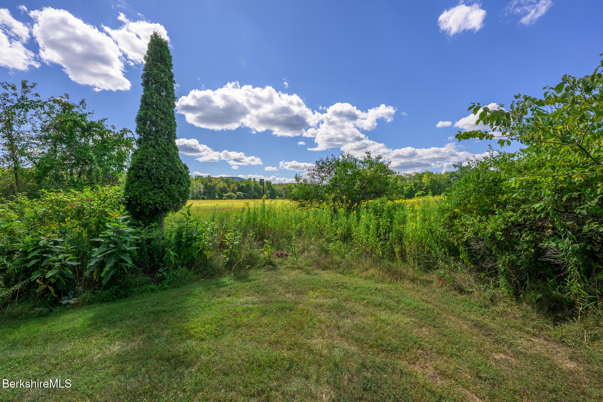 51 Albany Road West Stockbridge, MA 01266 - Photo 53 of 58 a view of a big yard with lots of green space