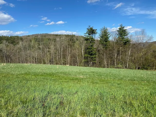 a view of a yard with an tree