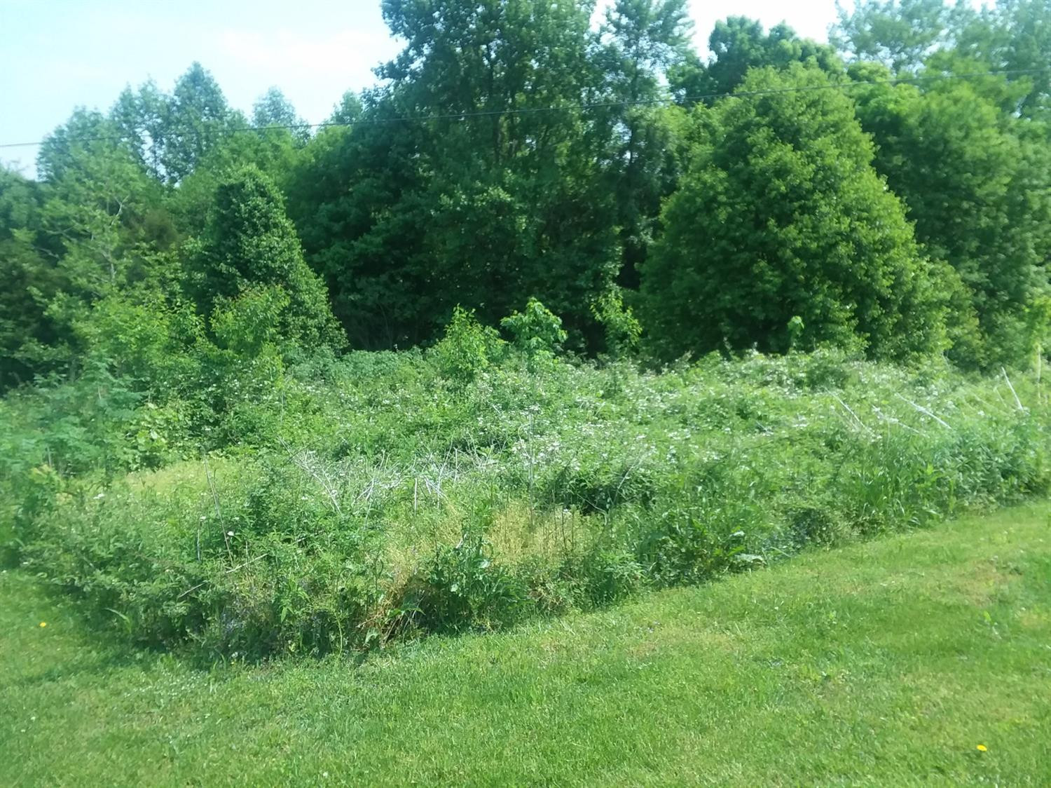 999 Houston Point Subdivision Road Mount Vernon, KY 40456 - Photo 3 of 6 Photo 3