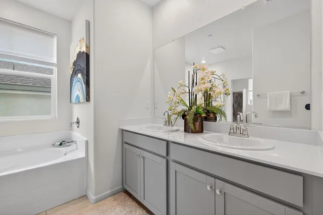 a bathroom with a double vanity sink and a bathtub