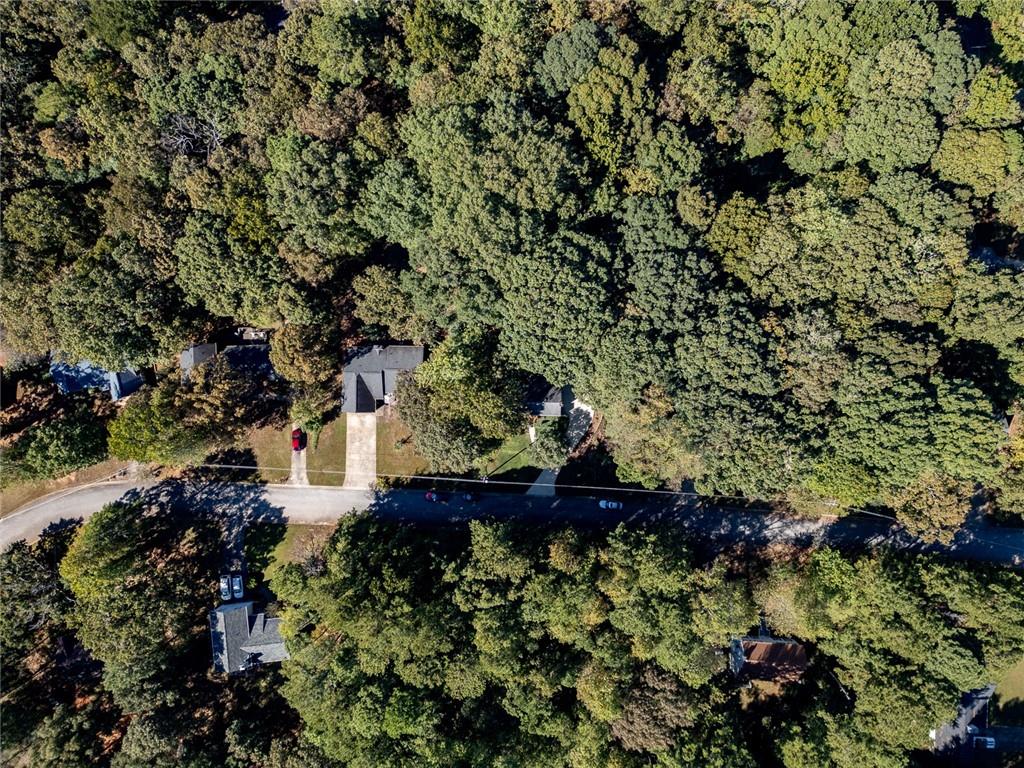 40 Mildred Lane Covington, GA 30016 - Photo 50 of 56 a picture of plants