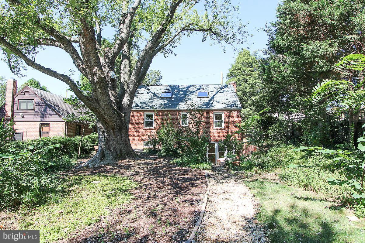 612 Deerfield Avenue Silver Spring, MD 20910 - Photo 25 of 26 Exterior (Rear)