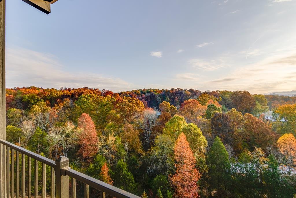 328 Rambling Creek Way Sevierville, TN 37862 - Photo 17 of 66 a view of city and mountain