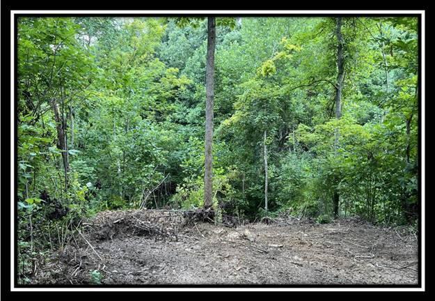 828 Whetstone Road, Unit TRACT 1 Bainbridge, OH 45612 - Photo 20 of 32 image020