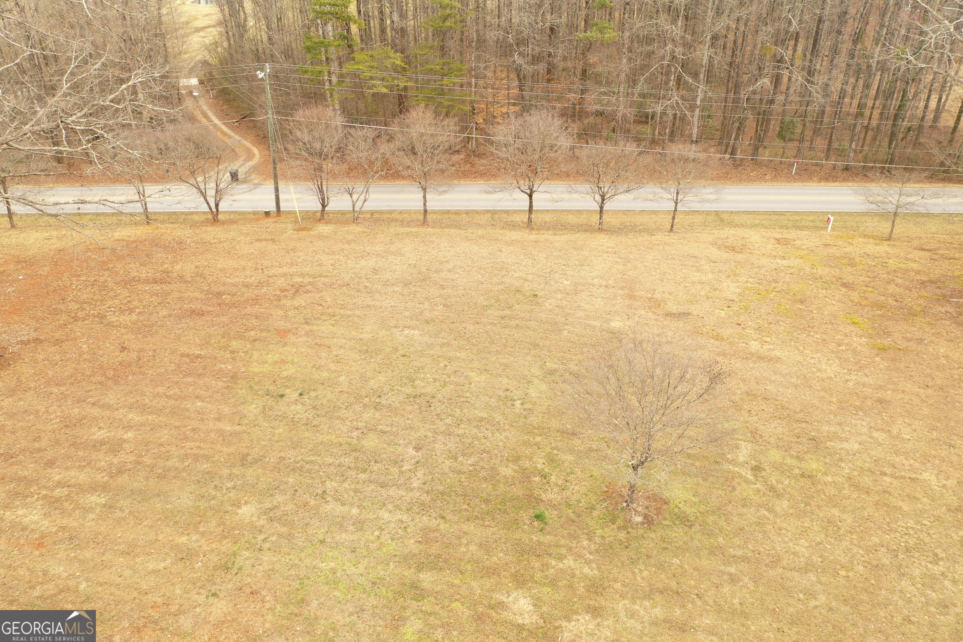 436 Tommy Irvin Road Mount Airy, GA 30563 - Photo 6 of 60
