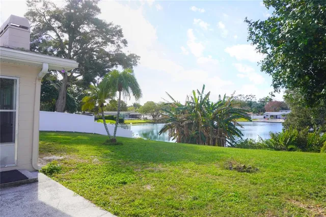 a view of a garden with a slide