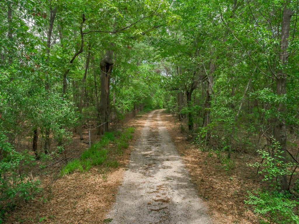 3430 Ben Sanders Road Dalzell, SC 29040 - Photo 70 of 75