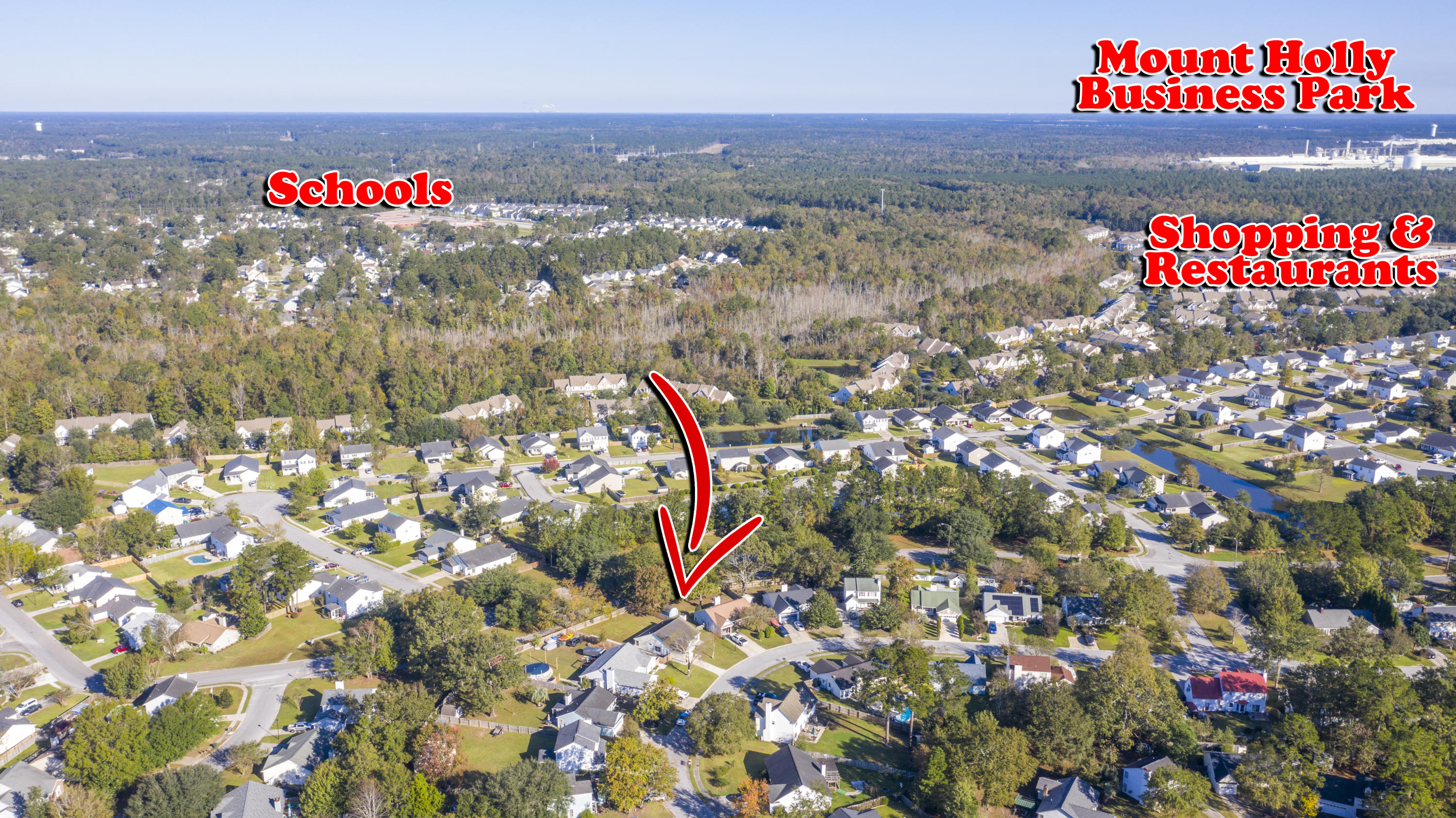 412 Indigo Road Goose Creek, SC 29445 - Photo 96 of 99 Indigo_Edited_006 copyAerialLabelx3