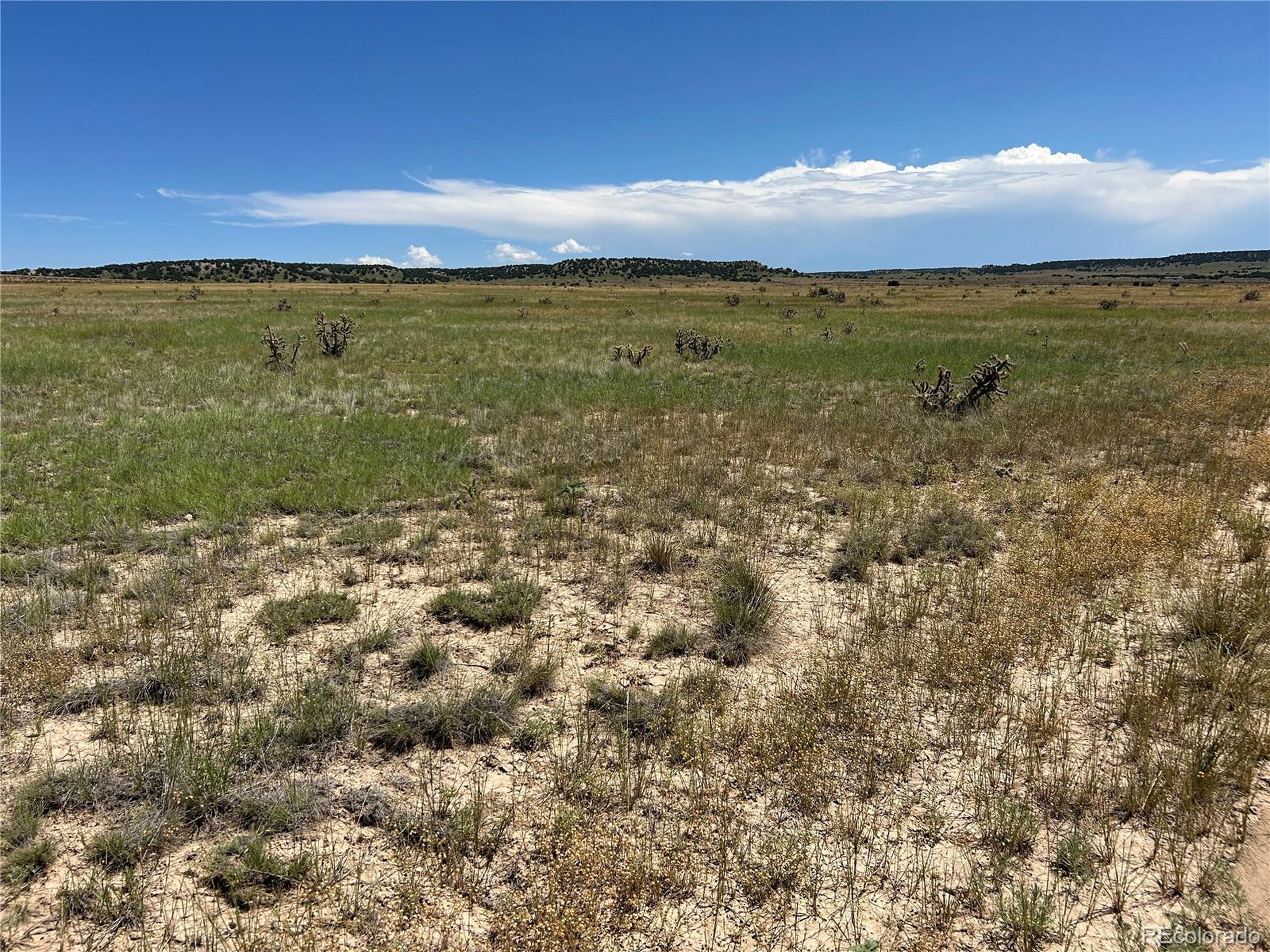 4 Outback Ranch Model, CO 81059 - Photo 14 of 19 a view of a lake from a yard