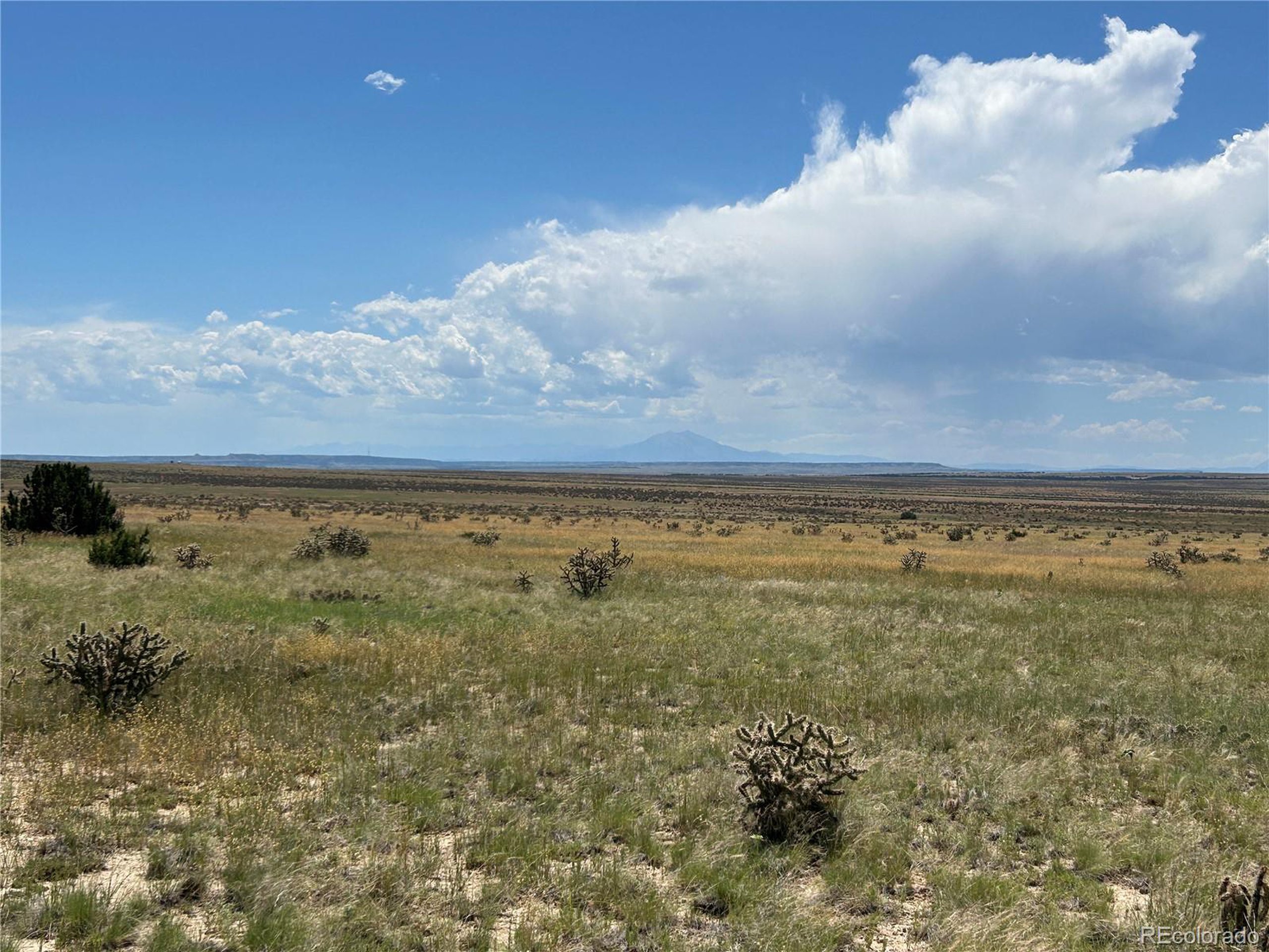 4 Outback Ranch Model, CO 81059 - Photo 15 of 19 a view of an ocean