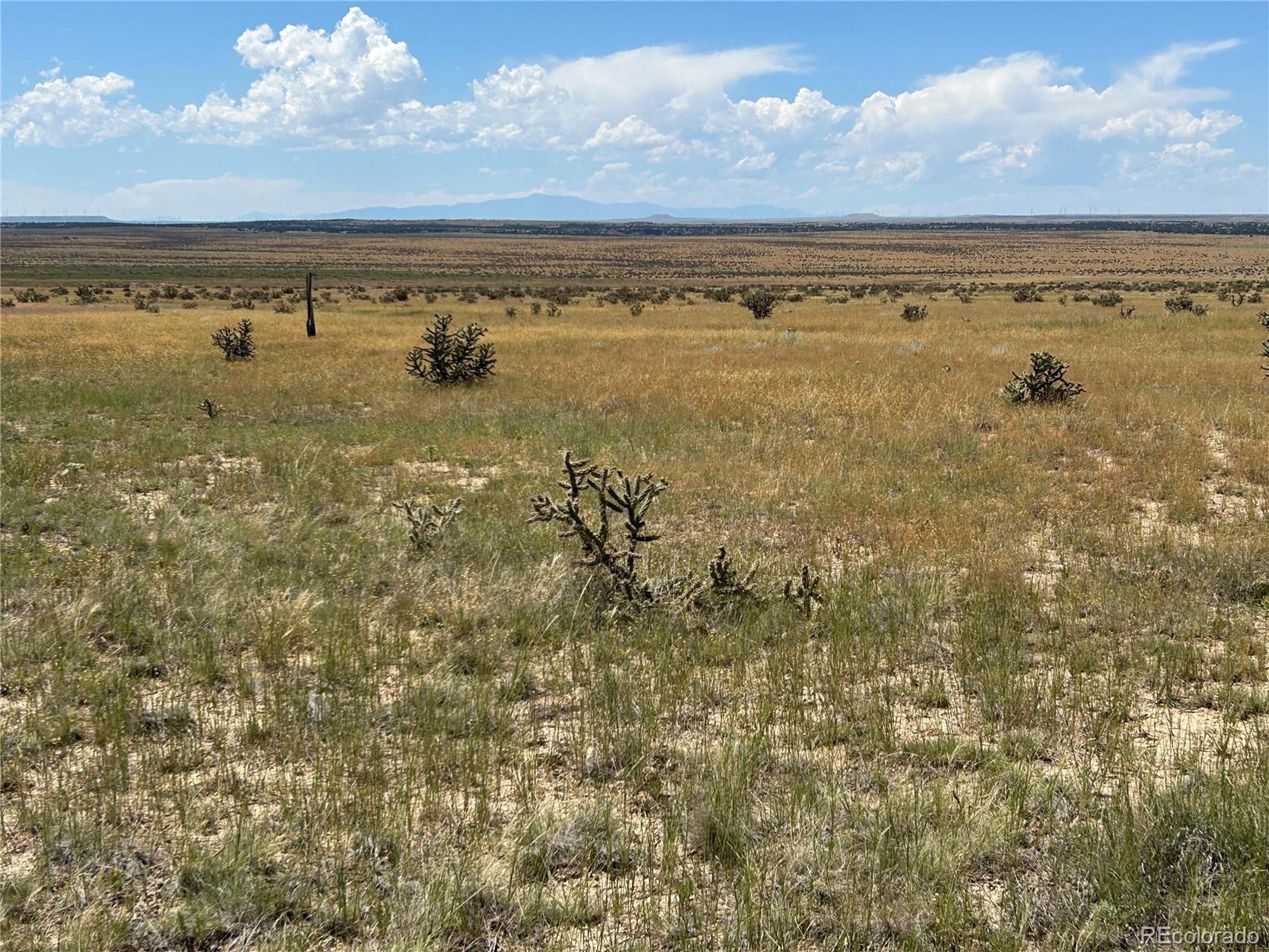 4 Outback Ranch Model, CO 81059 - Photo 2 of 19