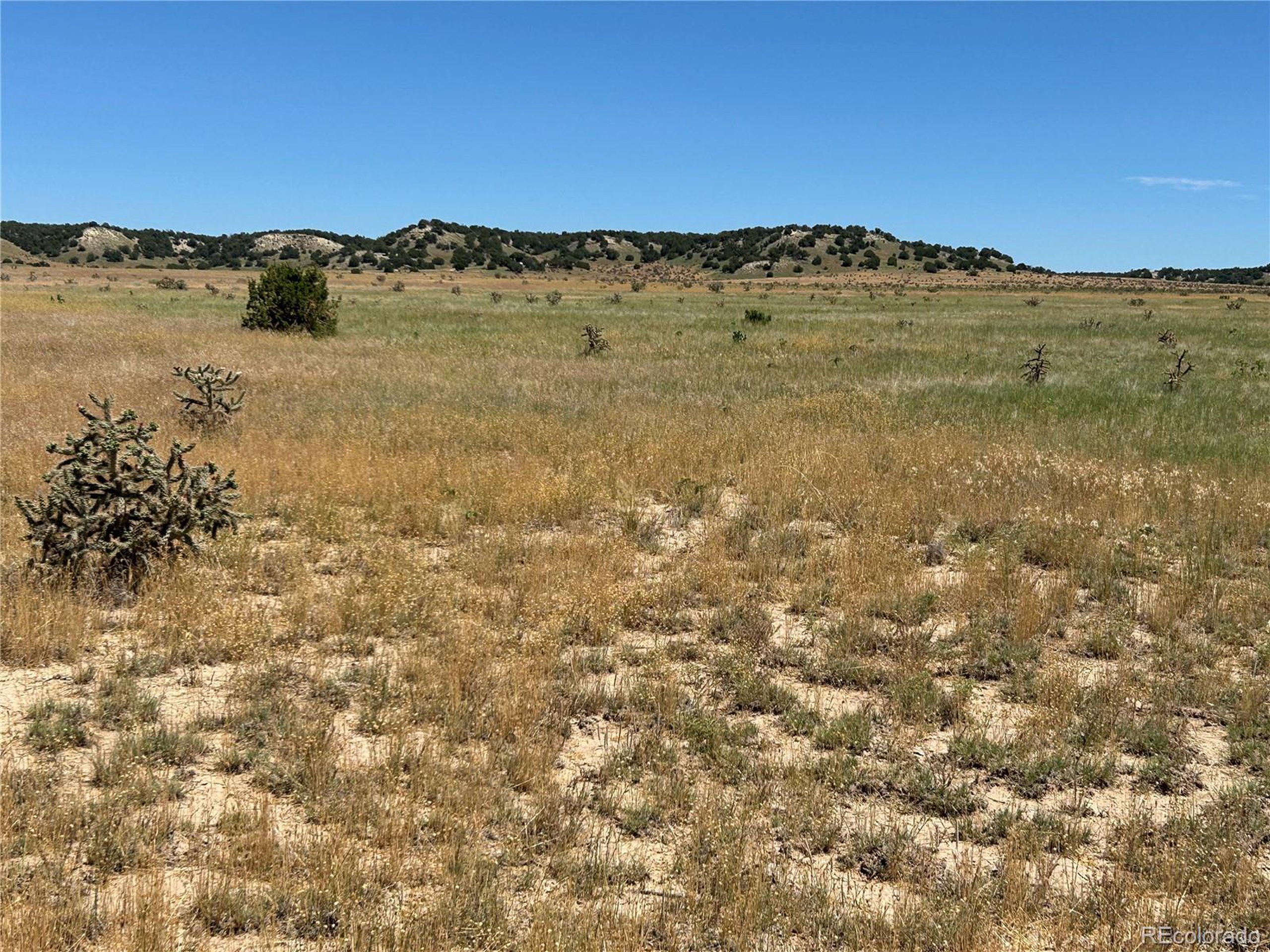 4 Outback Ranch Model, CO 81059 - Photo 4 of 19 a view of a large body of water with a building in the background