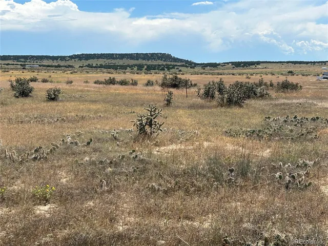 a view of a beach and a mountain