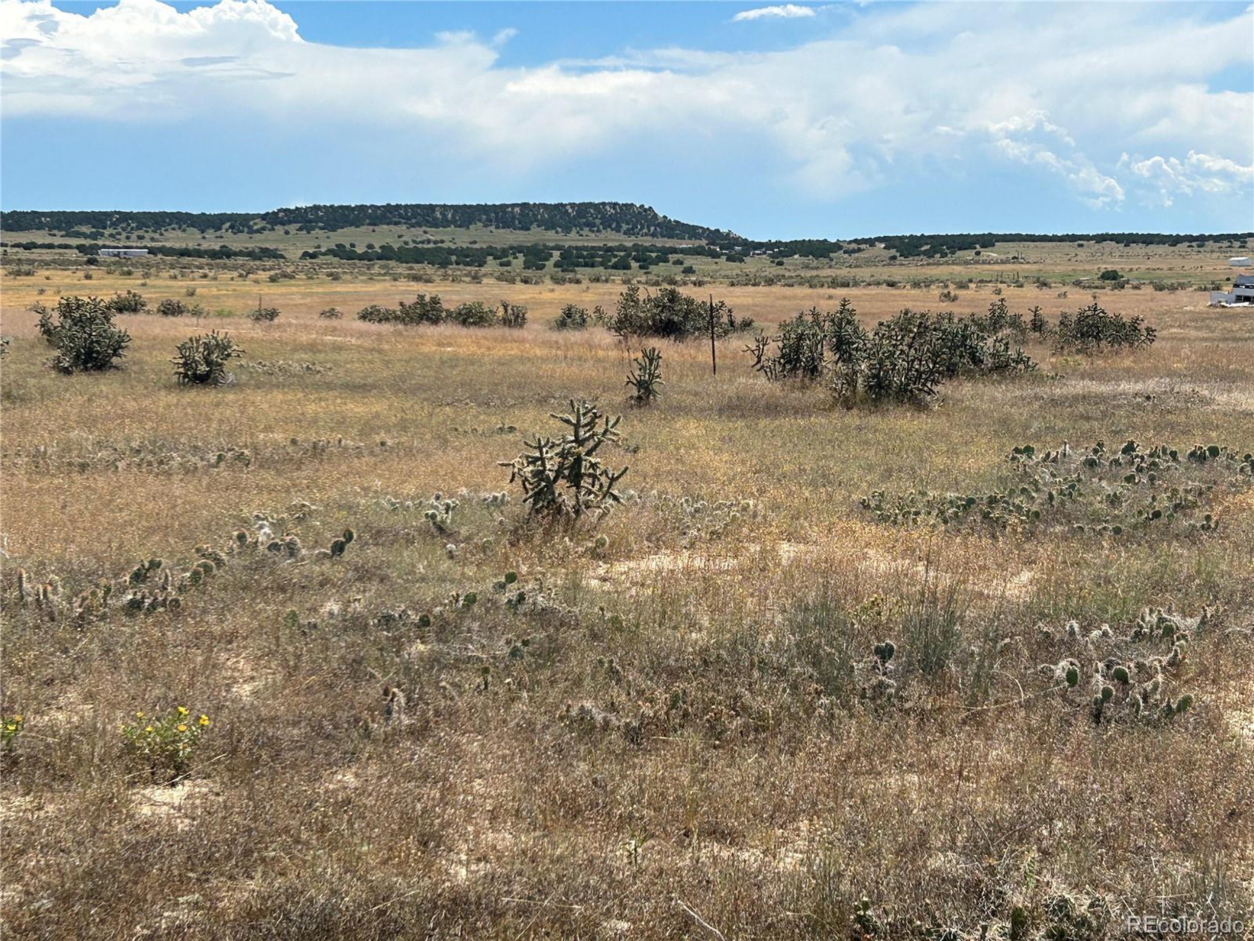 4 Outback Ranch Model, CO 81059 - Photo 8 of 19 a view of a lake view