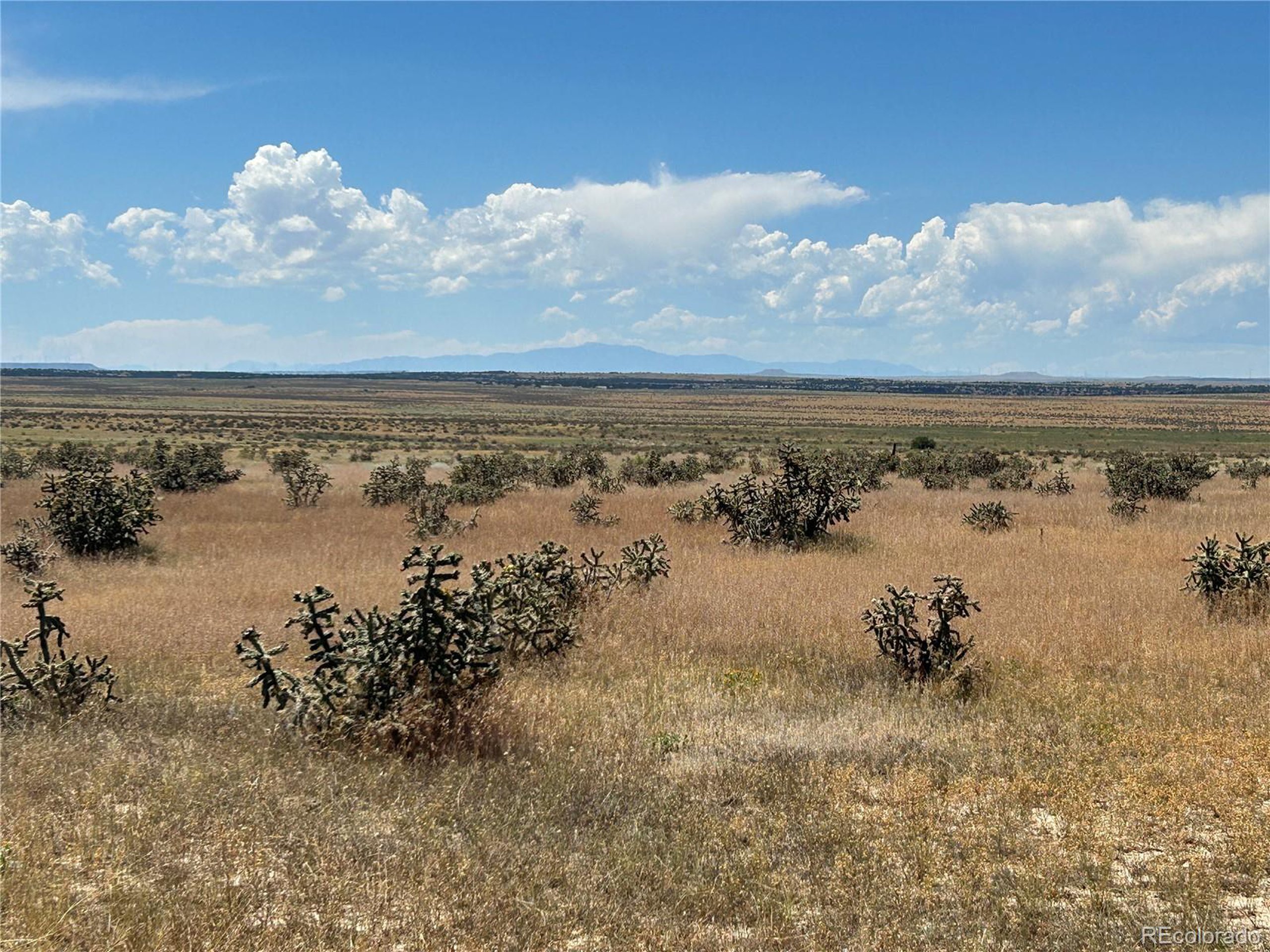 4 Outback Ranch Model, CO 81059 - Photo 9 of 19 a view of lake