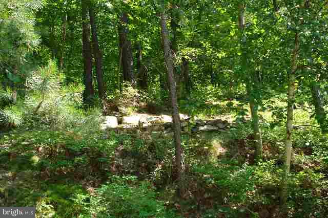 1229 Kuhn Road Boiling Springs, PA 17007 - Photo 12 of 12 Gallery Image 12
