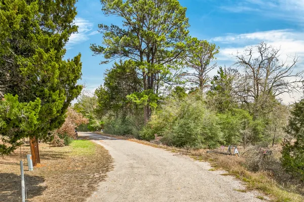a view of a yard with plants and trees