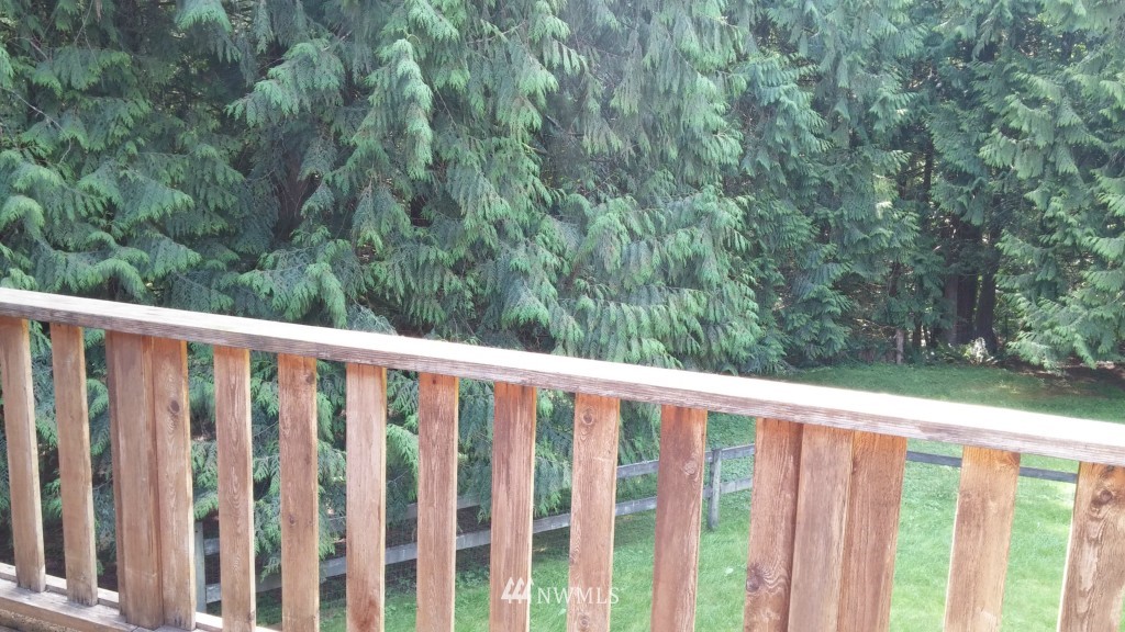 16690 Mountain View Road Big Lake, WA 98274 - Photo 20 of 21 Gallery Image 20