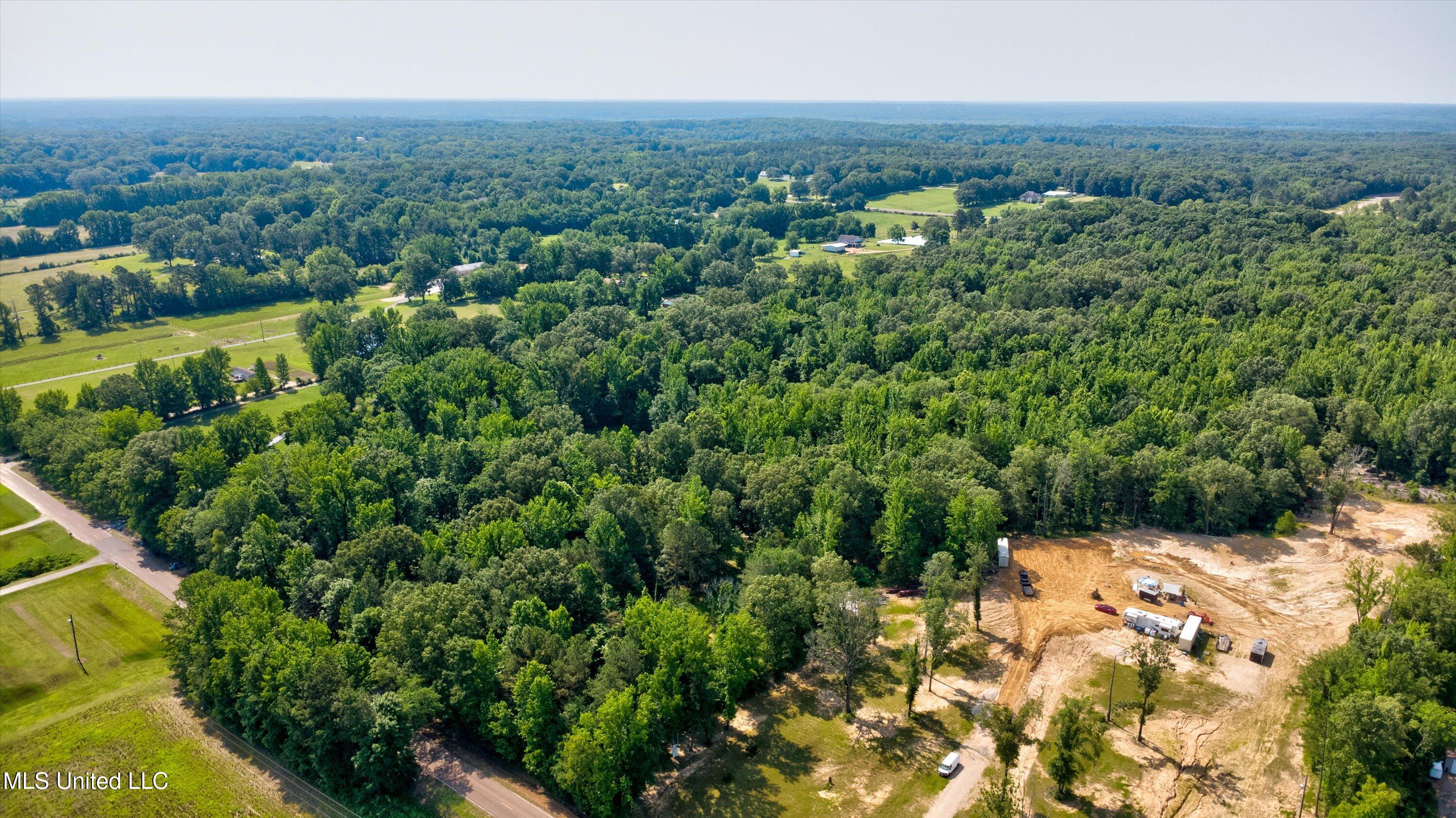Gaines Road Hernando, MS 38632 - Photo 3 of 6 15-Drone-12