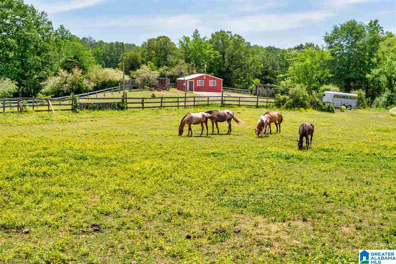 212 Highway 213 Calera Al Calera, AL 35040 - Photo 48 of 50