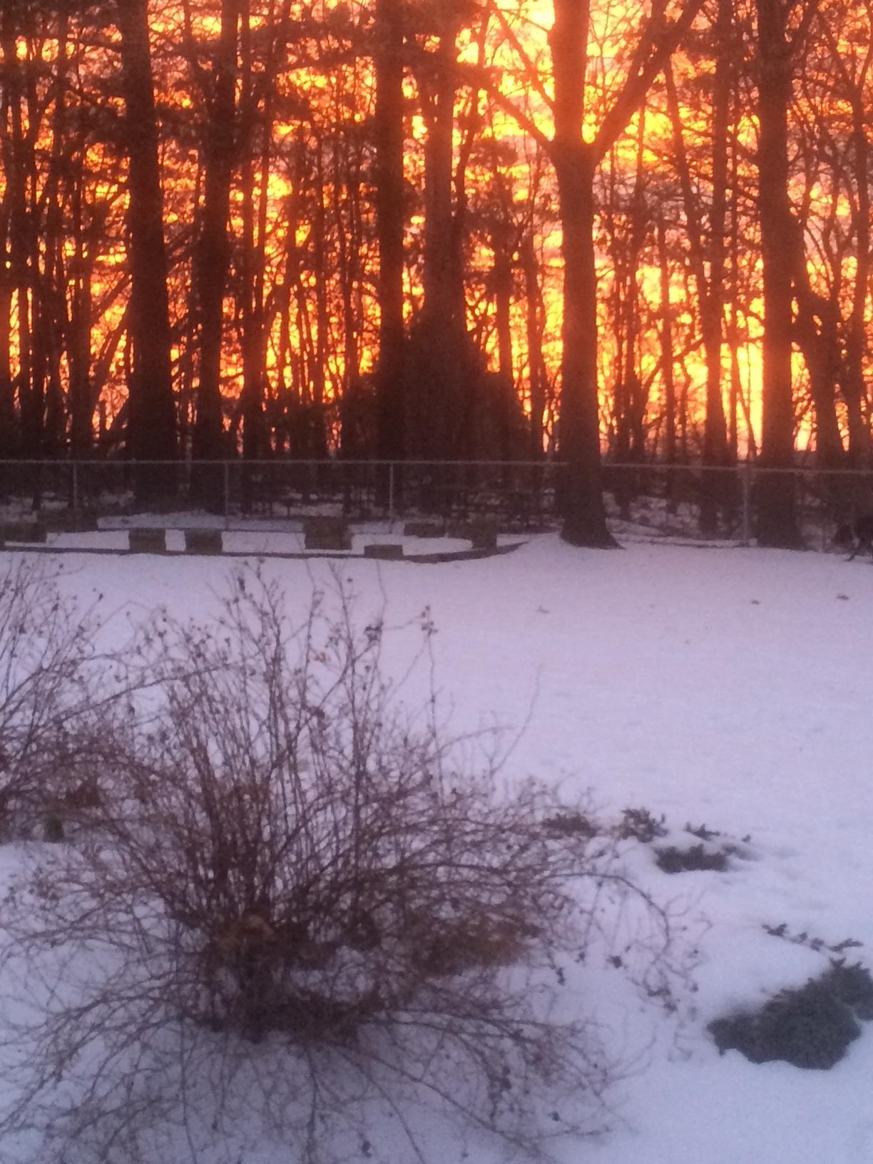 N2594 Oak Ridge Road Brodhead, WI 53520 - Photo 56 of 62