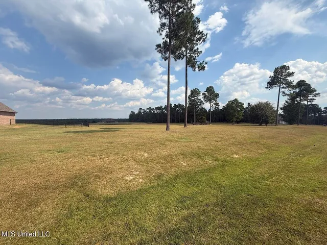 $619,900 | 74 The Hills Drive, Carriere, MS 39426