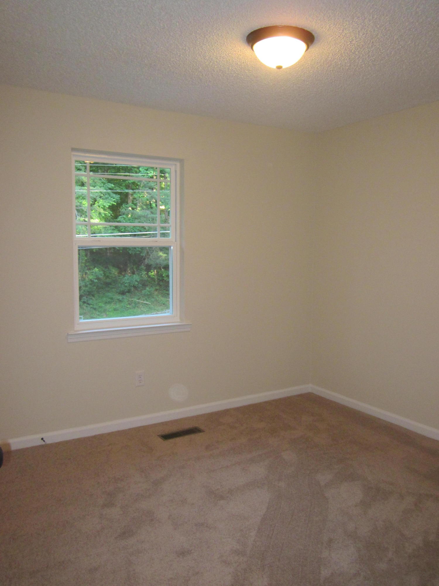 8817 Hidden Branches Road Harrison, TN 37341 - Photo 15 of 28 IMG_2712