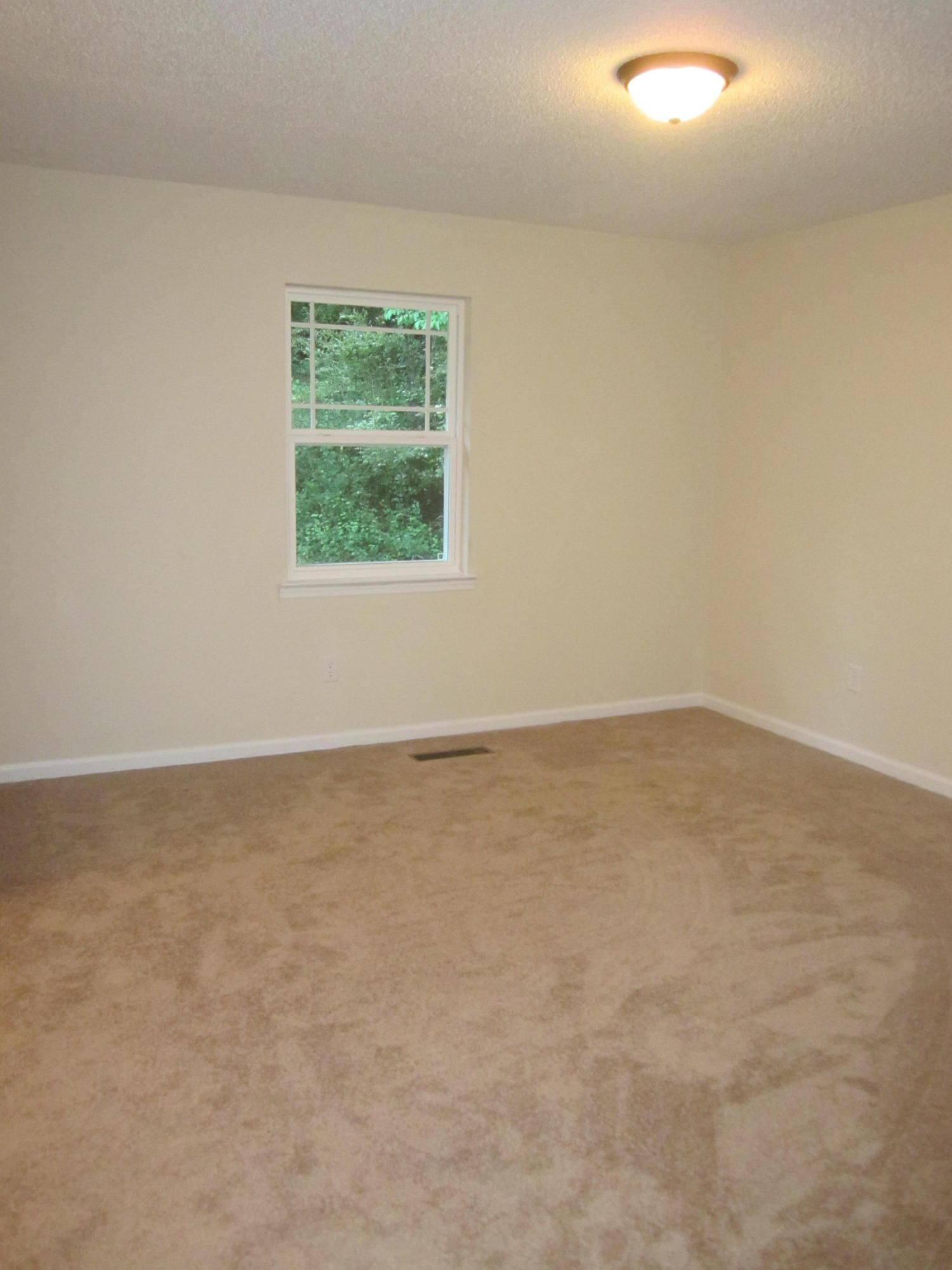 8817 Hidden Branches Road Harrison, TN 37341 - Photo 17 of 28 IMG_2714