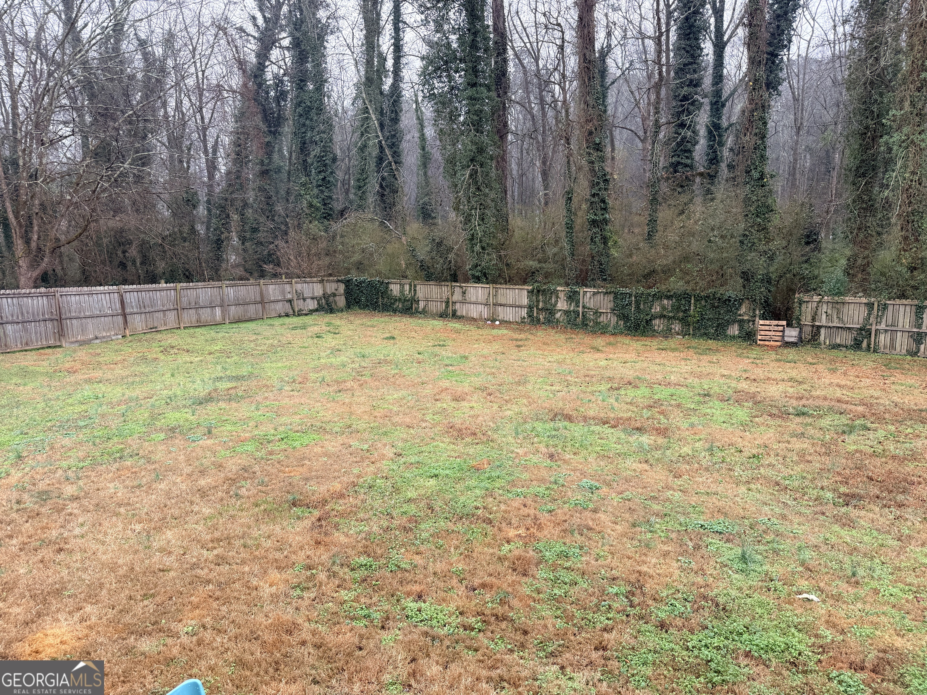 171 Candy Circle Winterville, GA 30683 - Photo 14 of 16 a view of a backyard with large trees