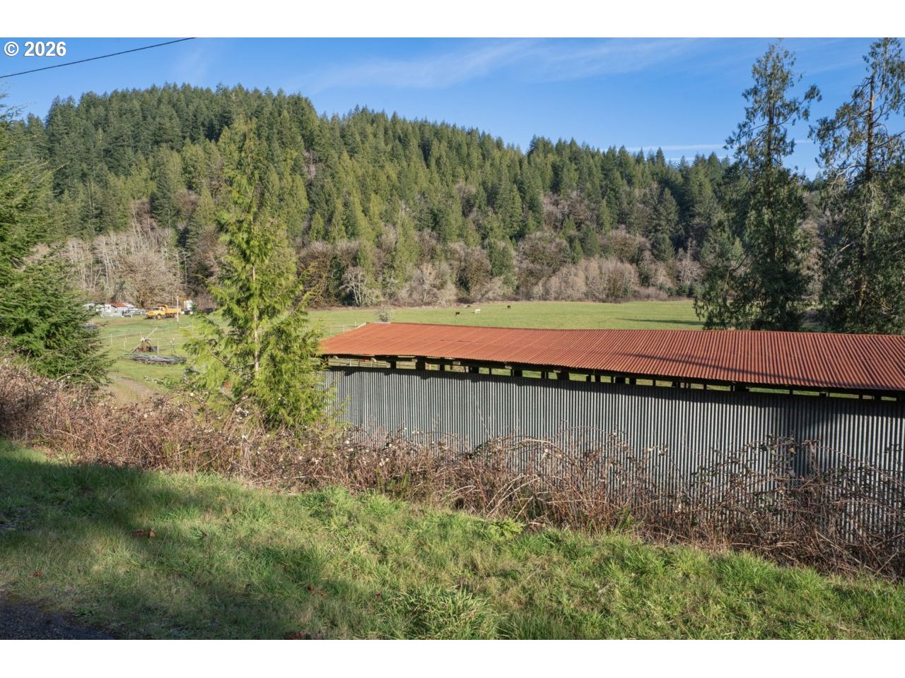 89009 Condon Creek Road Florence, OR 97439 - Photo 41 of 48