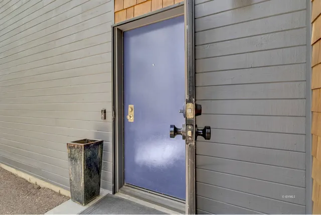 a view of a forest that has large trees