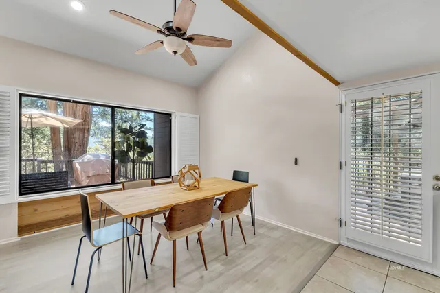 a view of a forest with trees in the background