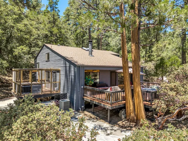 a view of a yard with plants and trees