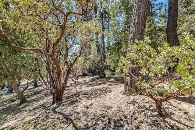a view of living room with furniture and fireplace