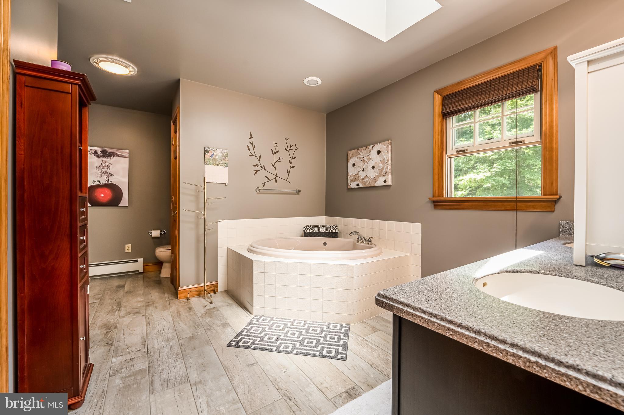 1949 Upper Ridge Road Green Lane, PA 18054 - Photo 29 of 92 Master bath