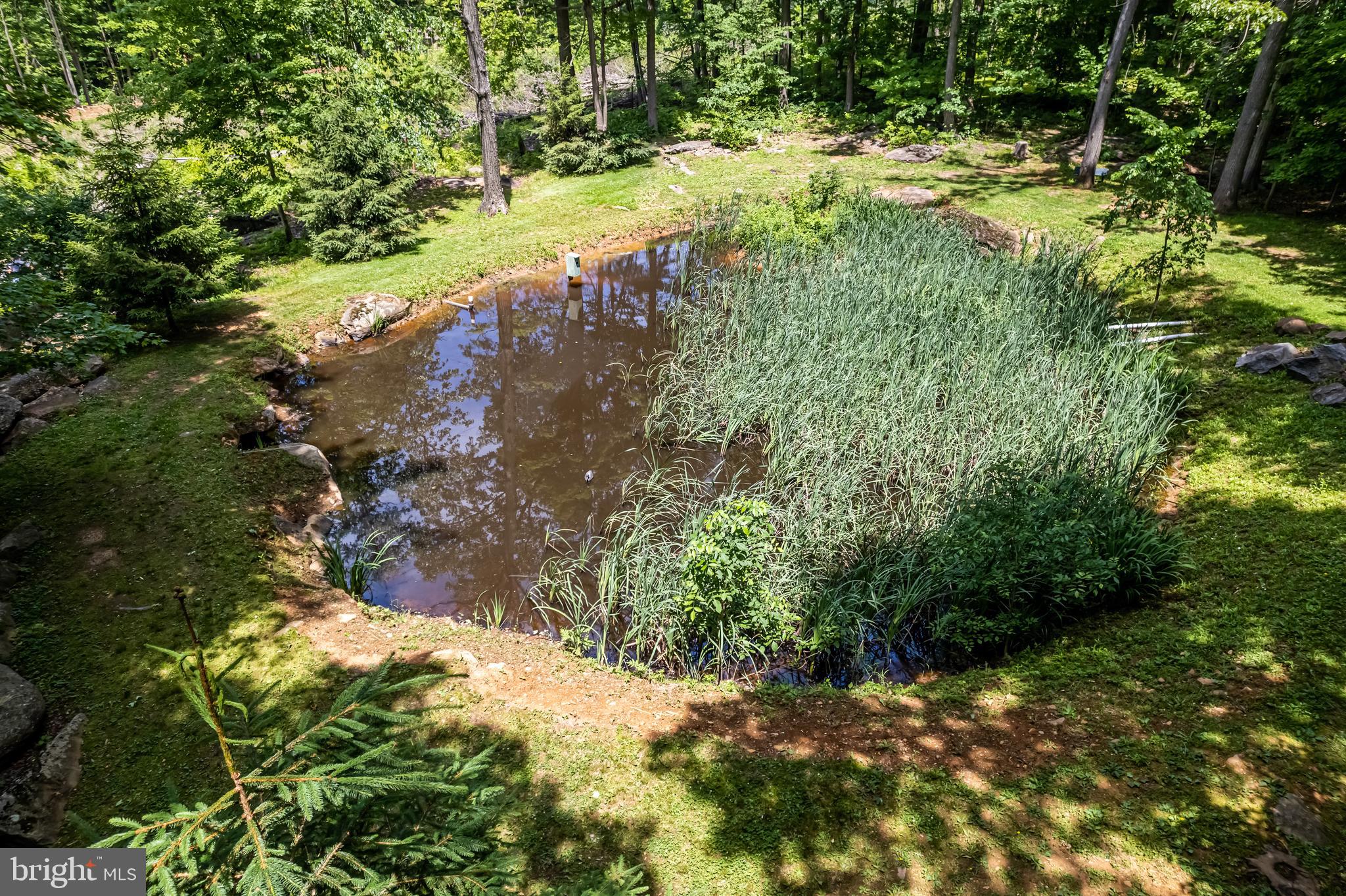 1949 Upper Ridge Road Green Lane, PA 18054 - Photo 61 of 92 Stocked pond