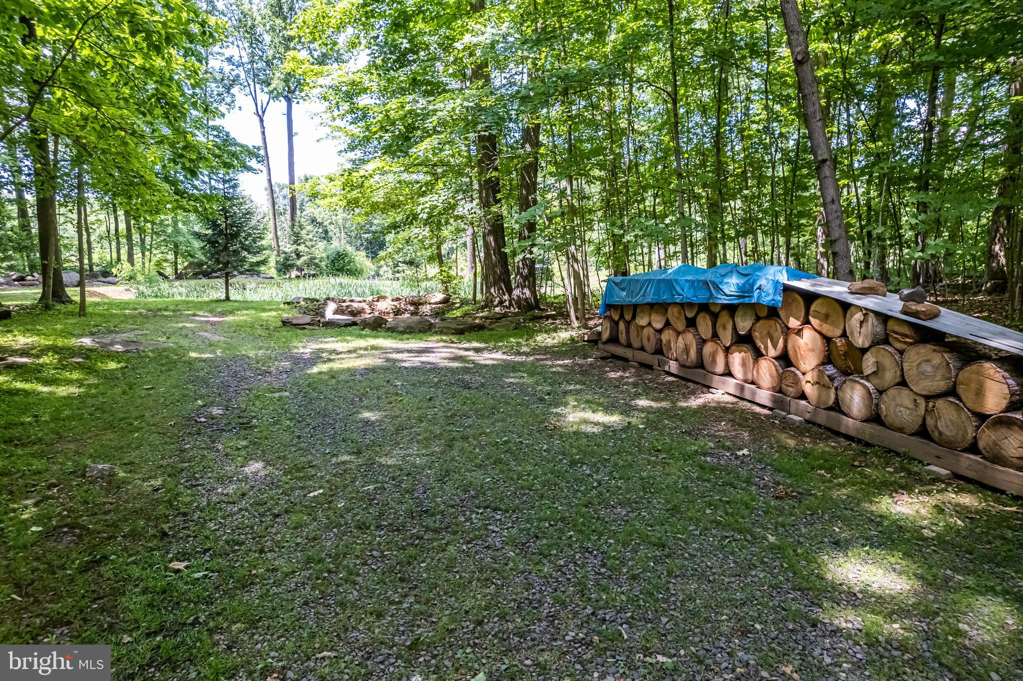 1949 Upper Ridge Road Green Lane, PA 18054 - Photo 62 of 92 Trail to pond