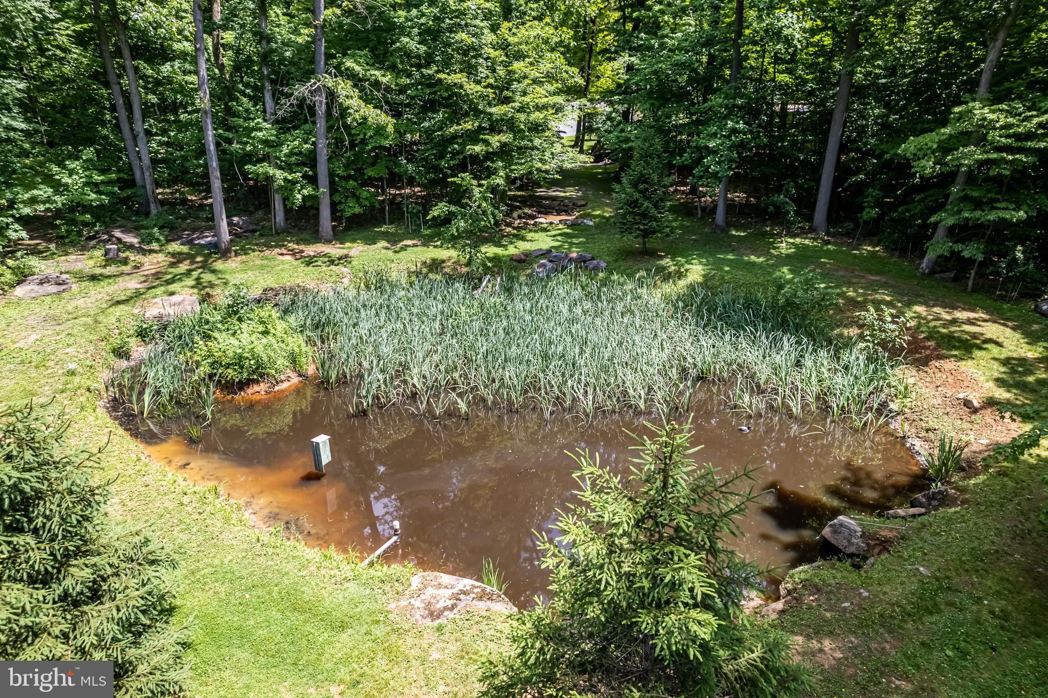 1949 Upper Ridge Road Green Lane, PA 18054 - Photo 63 of 92 Stocked pond